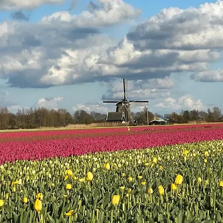 Lichtdurchflutetes Traumhaus Mit Wintergarten, Strandnah Uneinsehbarer Garten Hundefreundlich بيت للعطل