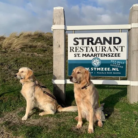 Lichtdurchflutetes Traumhaus 400 Meter Zum Strandaufgang, Uneinsehbarer Garten Mit Terrassenüberdachung, Hundefreundlich