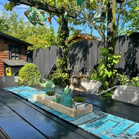Feriehus Lichtdurchflutetes Traumhaus Nr 143 Mit Wintergarten, Strandnah Uneinsehbarer Garten Hundefreundlich Sint Maartensvlotbrug