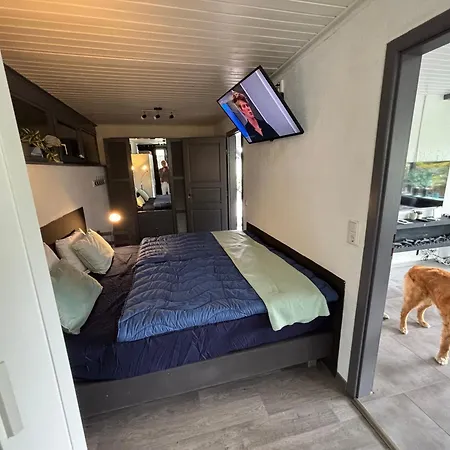 Lichtdurchflutetes Traumhaus 400 Meter Zum Strandaufgang, Uneinsehbarer Garten Mit Terrassenüberdachung, Hundefreundlich Ferienhaus Sint Maartensvlotbrug