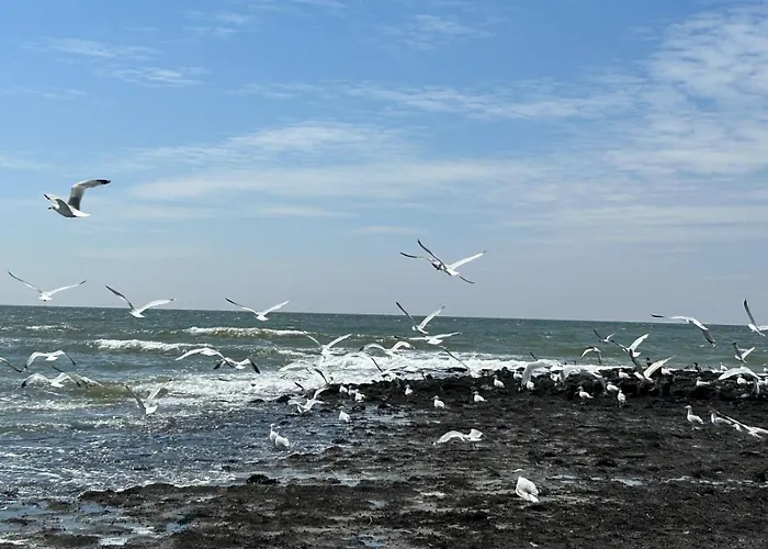 Lichtdurchflutetes Traumhaus Mit Wintergarten, Strandnah Uneinsehbarer Garten Hundefreundlich Semesterbostad Sint Maartensvlotbrug