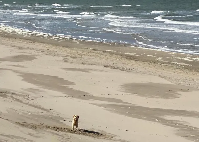 Lichtdurchflutetes Traumhaus Mit Wintergarten, Strandnah Uneinsehbarer Garten Hundefreundlich Semesterbostad