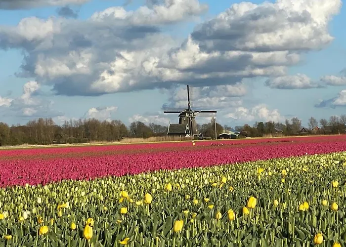 Lichtdurchflutetes Traumhaus Mit Wintergarten, Strandnah Uneinsehbarer Garten Hundefreundlich Semesterbostad