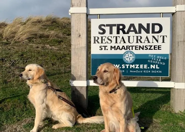 Lichtdurchflutetes Traumhaus Mit Wintergarten, Strandnah Uneinsehbarer Garten Hundefreundlich