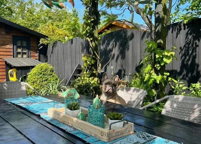 Semesterbostad Lichtdurchflutetes Traumhaus Mit Wintergarten, Strandnah Uneinsehbarer Garten Hundefreundlich Sint Maartensvlotbrug