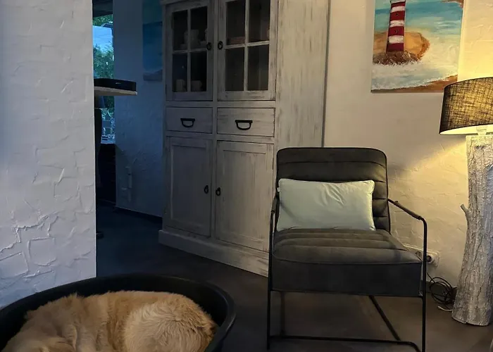 Lichtdurchflutetes Traumhaus Mit Wintergarten, Strandnah Uneinsehbarer Garten Hundefreundlich * Sint Maartensvlotbrug