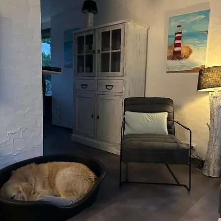 Lichtdurchflutetes Traumhaus 800 Meter Zum Strandaufgang, Uneinsehbarer Garten Mit Terrassenueberdachung, Hundefreundlich * Sint Maartensvlotbrug