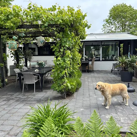 Lichtdurchflutetes Traumhaus 800 Meter Zum Strandaufgang, Uneinsehbarer Garten Mit Terrassenueberdachung, Hundefreundlich *